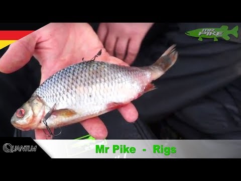 Quantum Mr. Pike Float Rig Leader 14 kg Size 6 1 hook